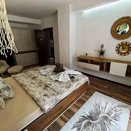 Luxury Flat F218 Бансько